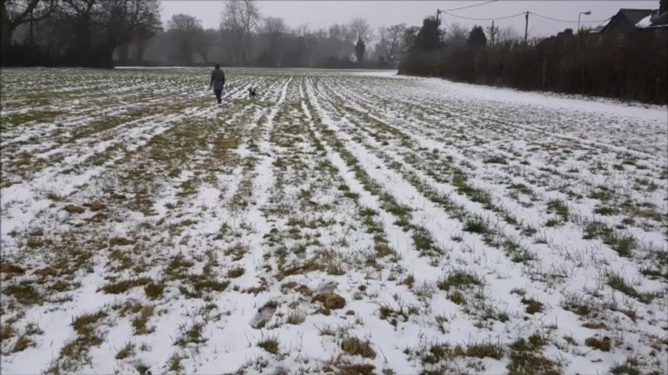 Verified Amateurs präsentiert alphaninja7's Schnee XXX-Film