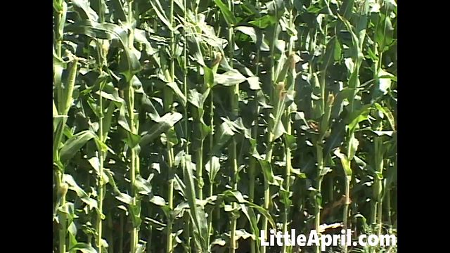 Petite और Little का बुत क्रिया