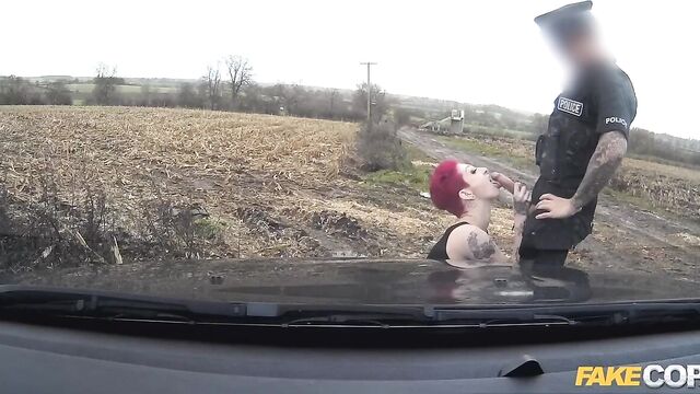 Fakehub präsentiert Bitch's Seitenfick Sex