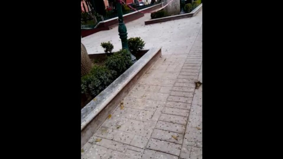 Verified Amateurs - Öffentlich Pornofilm