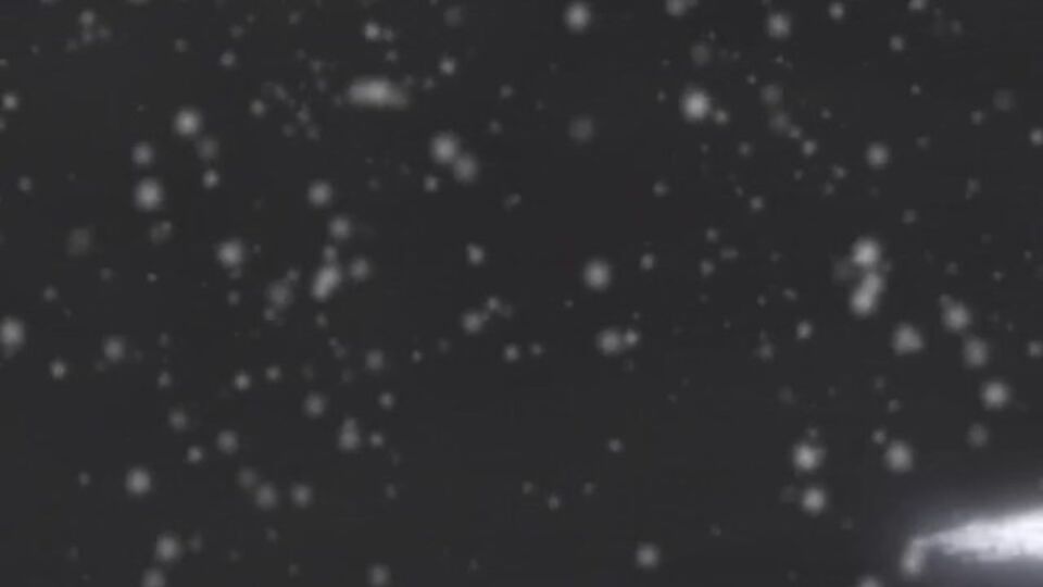 Unattainable patootie - foreplay clip - Fuck Me Like A Monster