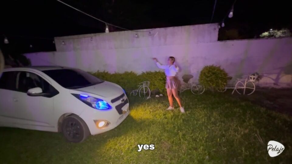 Pelaje Mix featuring Pretty Face's fucking uber driver clip