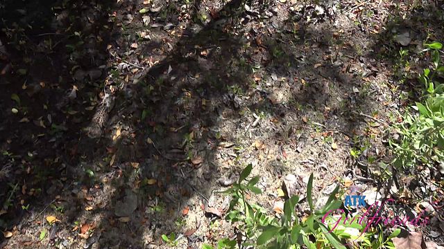 Riley Rose en xxx de rubia de ATK Girlfriends