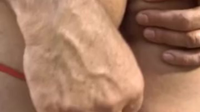 Screw My Wife Club - pornographie mature