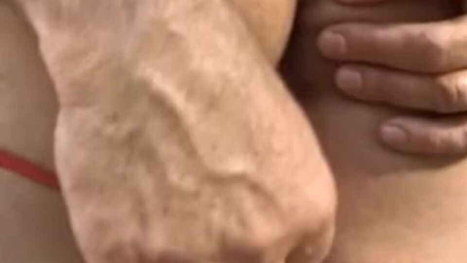 Screw My Wife Club featuring ho's couples scene